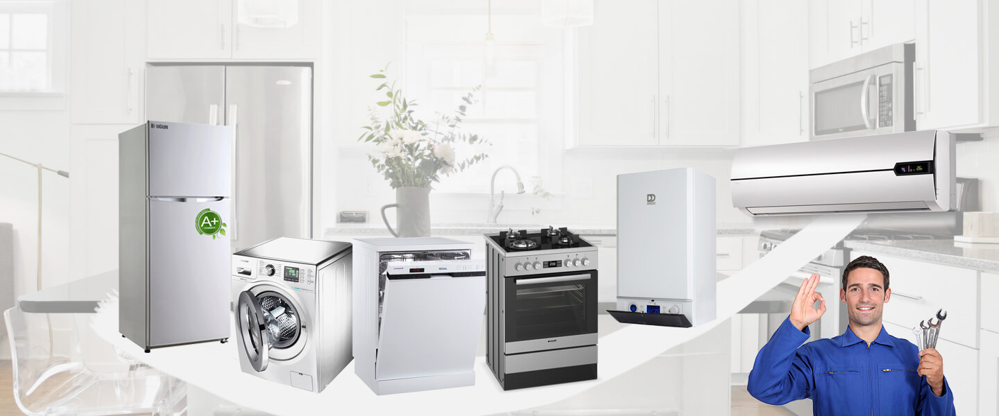 Çelebi Electrolux Servisi